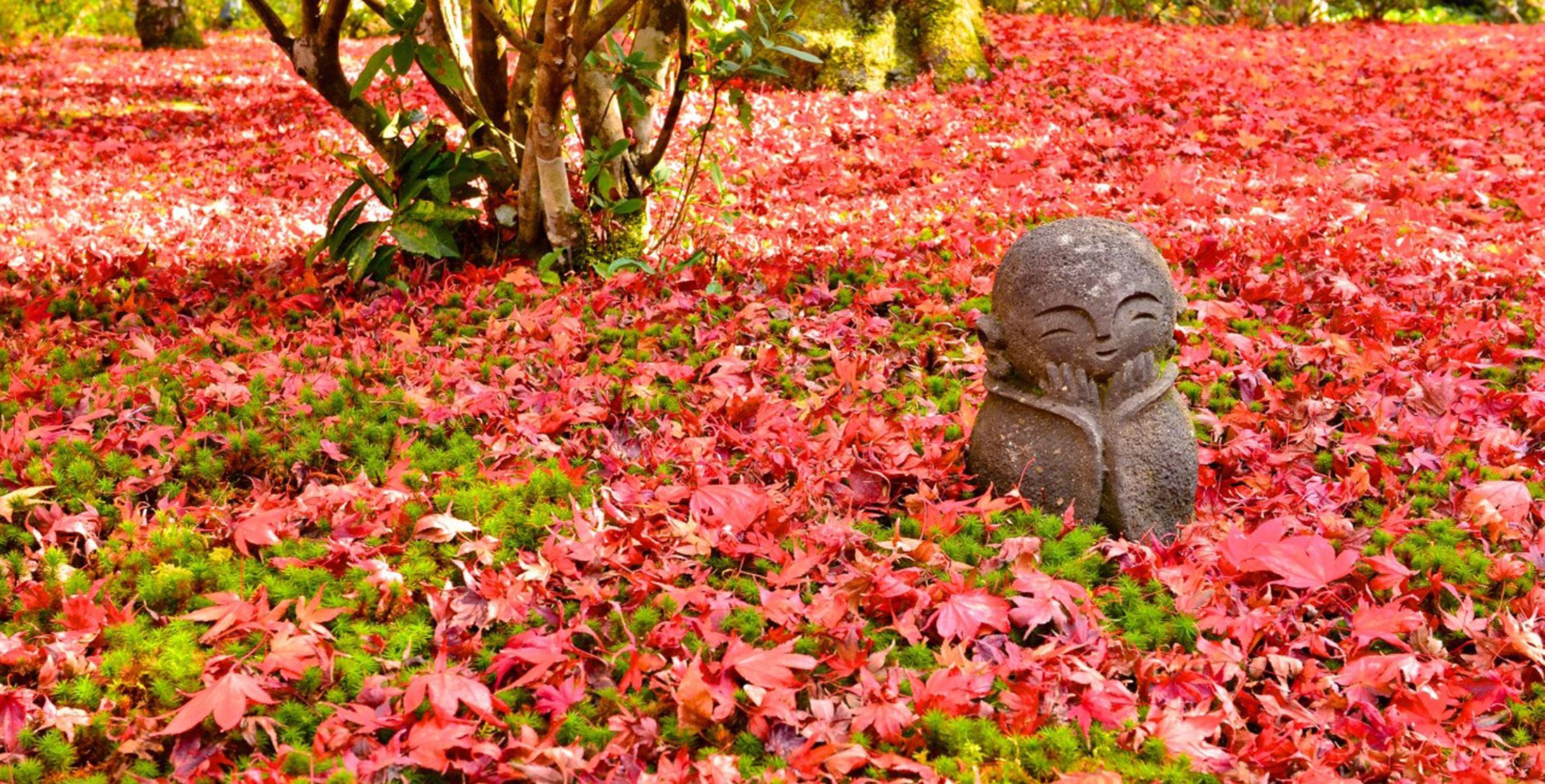京都の紅葉名所案内 京都の春もきれいですがやはり一番人気は紅葉です。