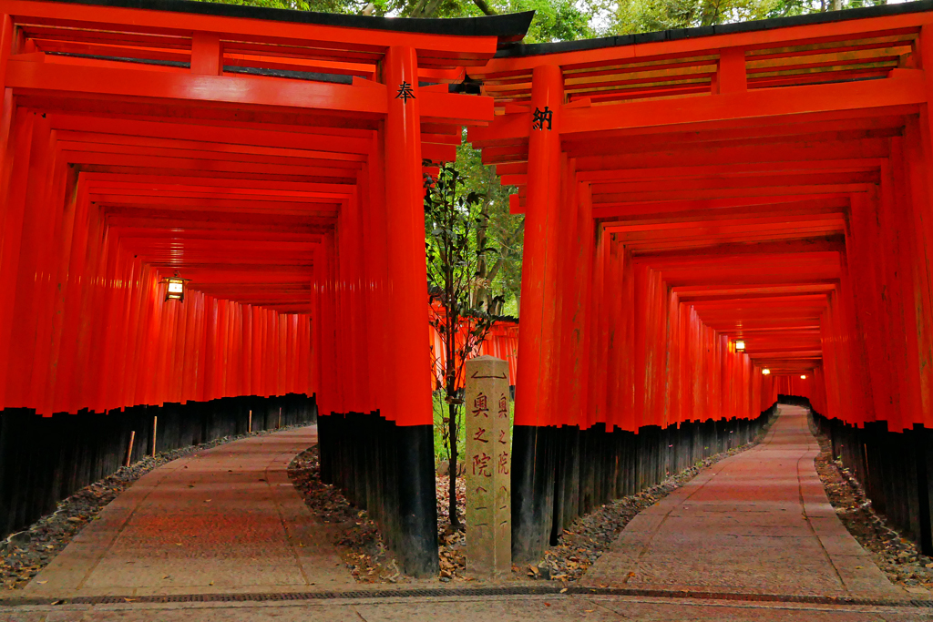 京都 伏見稲荷大社は 五穀豊穣を司るの神 稲荷神が祀られてる