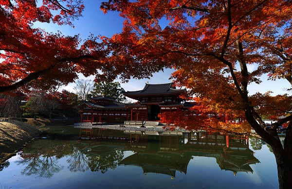 平等院（びょうどういん）極楽浄土の世界をあらわす鳳凰堂