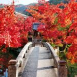 永観堂・禅林寺(えいかんどう・ぜんりんじ)見返り阿弥陀と紅葉の寺