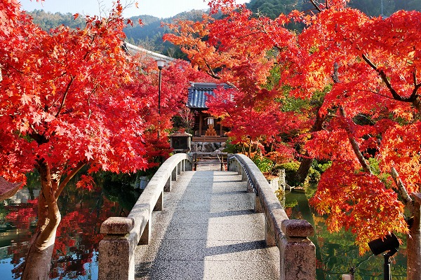 永観堂・禅林寺（えいかんどう・ぜんりんじ）見返り阿弥陀と紅葉の寺